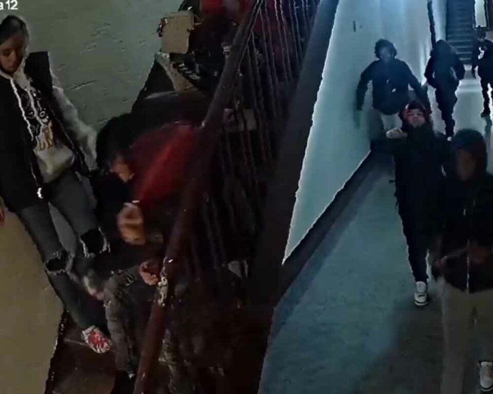 24-year-old woman beaten and robbed in the Bronx