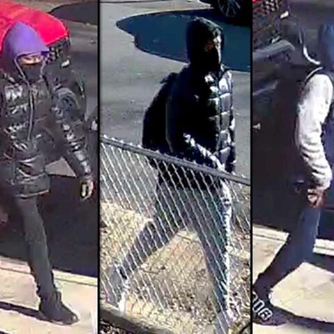 62-year-old beaten and robbed at jamaica hills playground in broad daylight - photo licensed by shore news network.