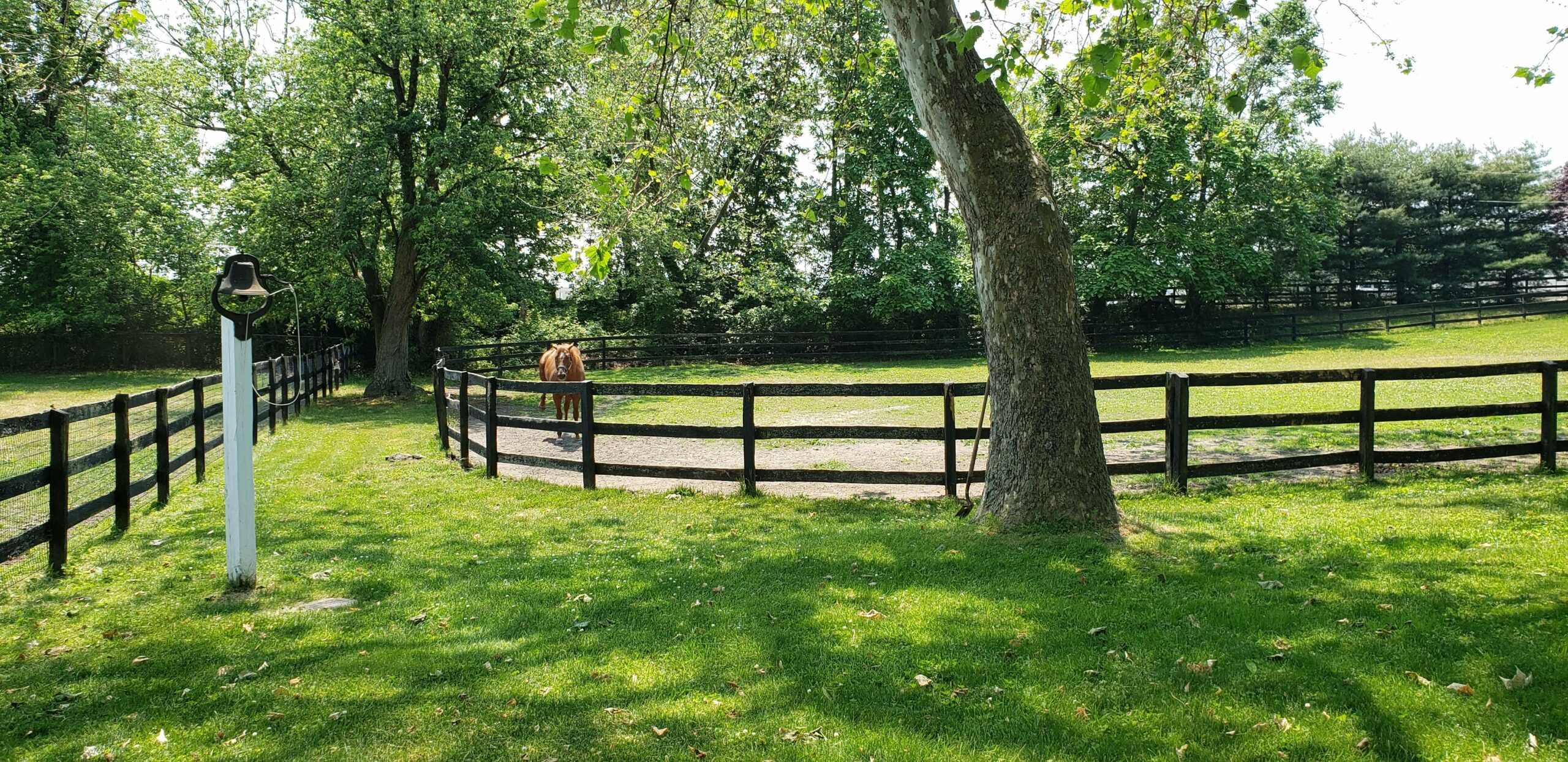 Two Camden farms to be preserved by NJ Dept. of Agriculture