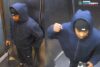 Suspect followed woman into bronx elevator, assaulted and robbed her