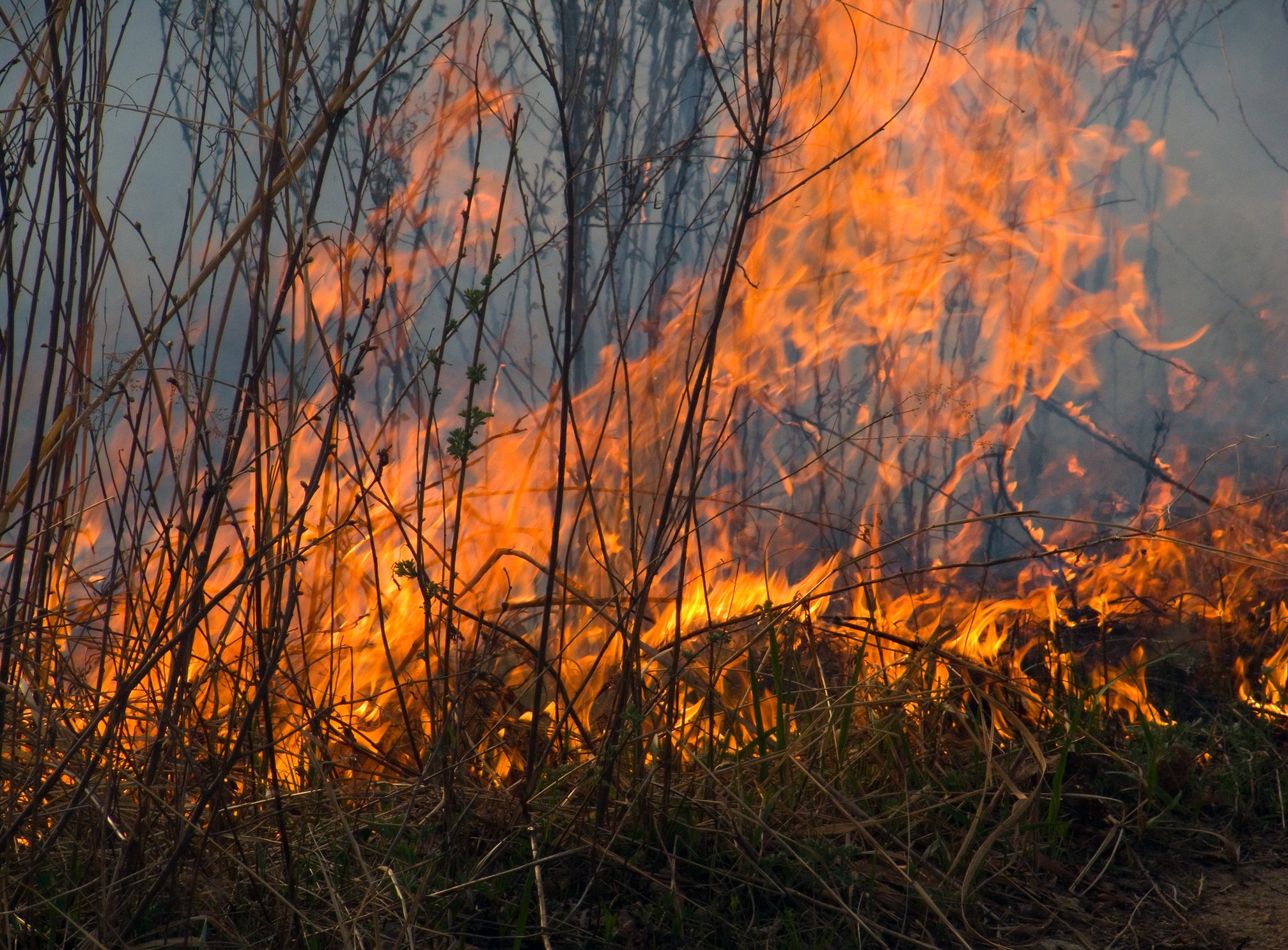 Prosecutor's office investigating Berkeley Township brush fire homeless camp