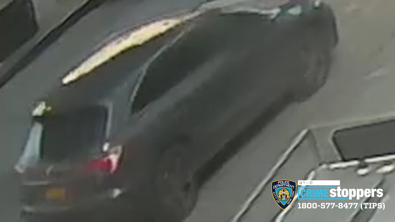 81-year-old woman critical in Bronx hit and run