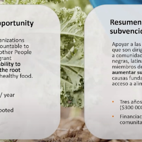 Nonprofit charity’s ‘food equity’ program discriminates against white people, watchdog alleges - photo licensed by shore news network.