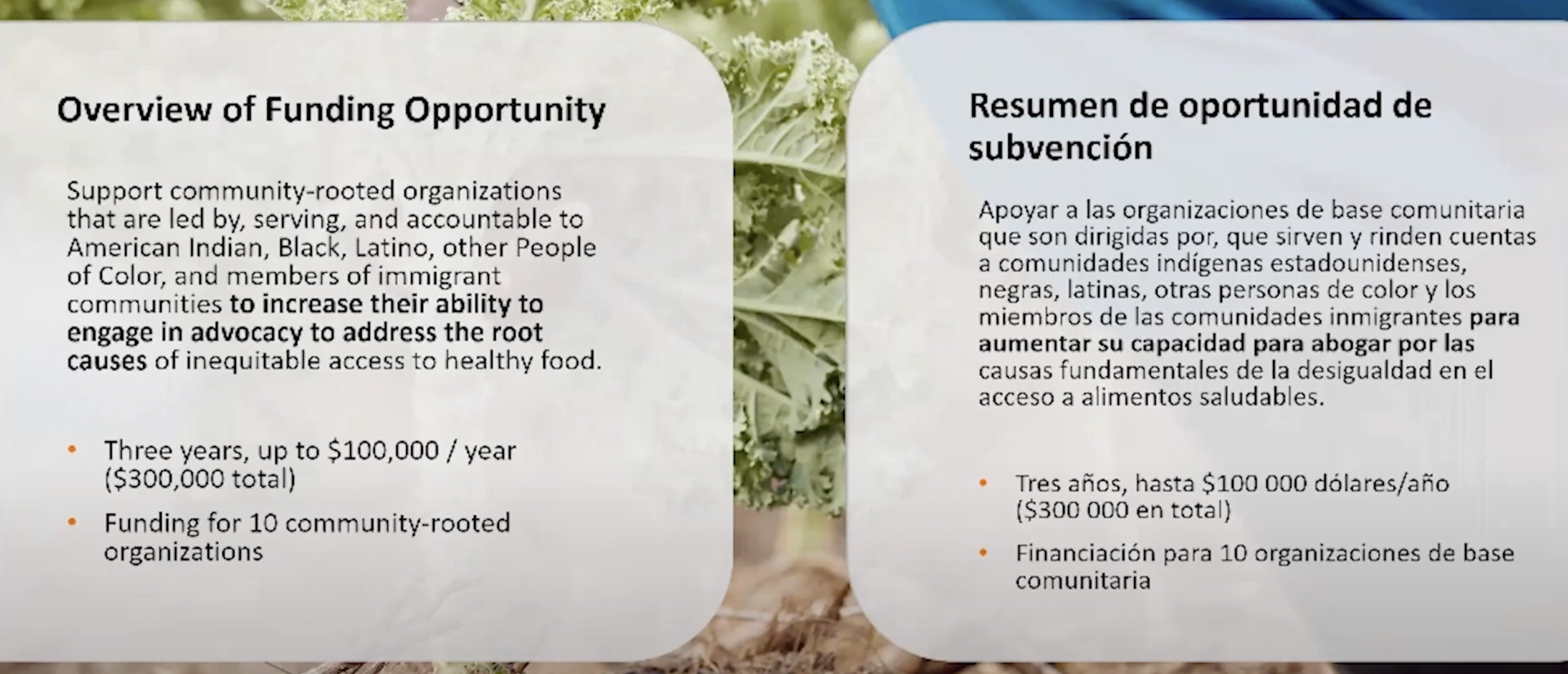 Nonprofit Charity’s ‘Food Equity’ Program Discriminates Against White People, Watchdog Alleges A presentation from a BlueCross BlueShield of North Carolina Foundation information session.