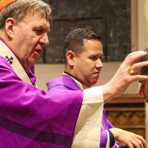 Hundreds of catholics flock to st. Patrick's cathedral on ash wednesday - photo licensed by shore news network.