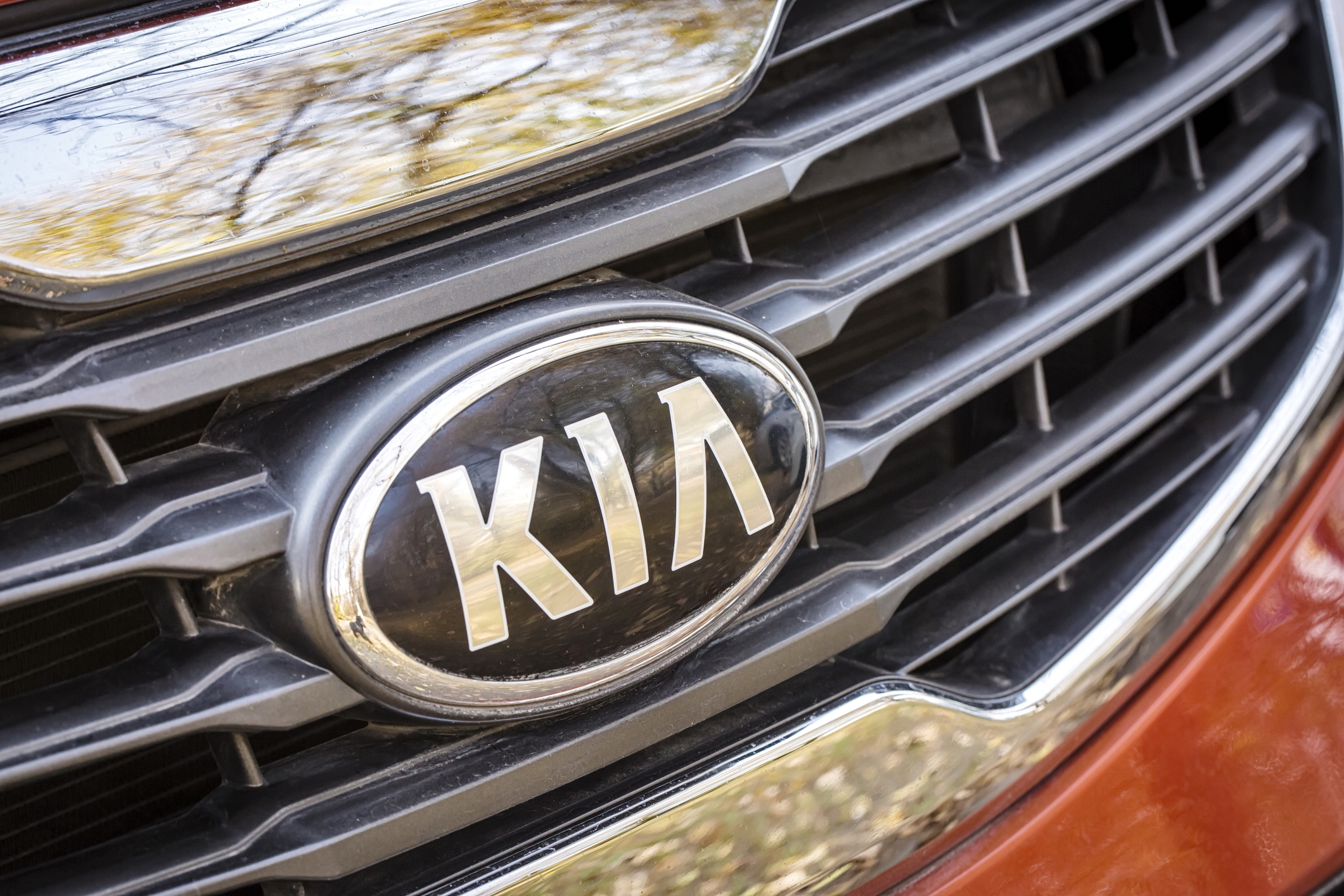 Hyundai, Kia release software update as cars targeted for theft due to flaws