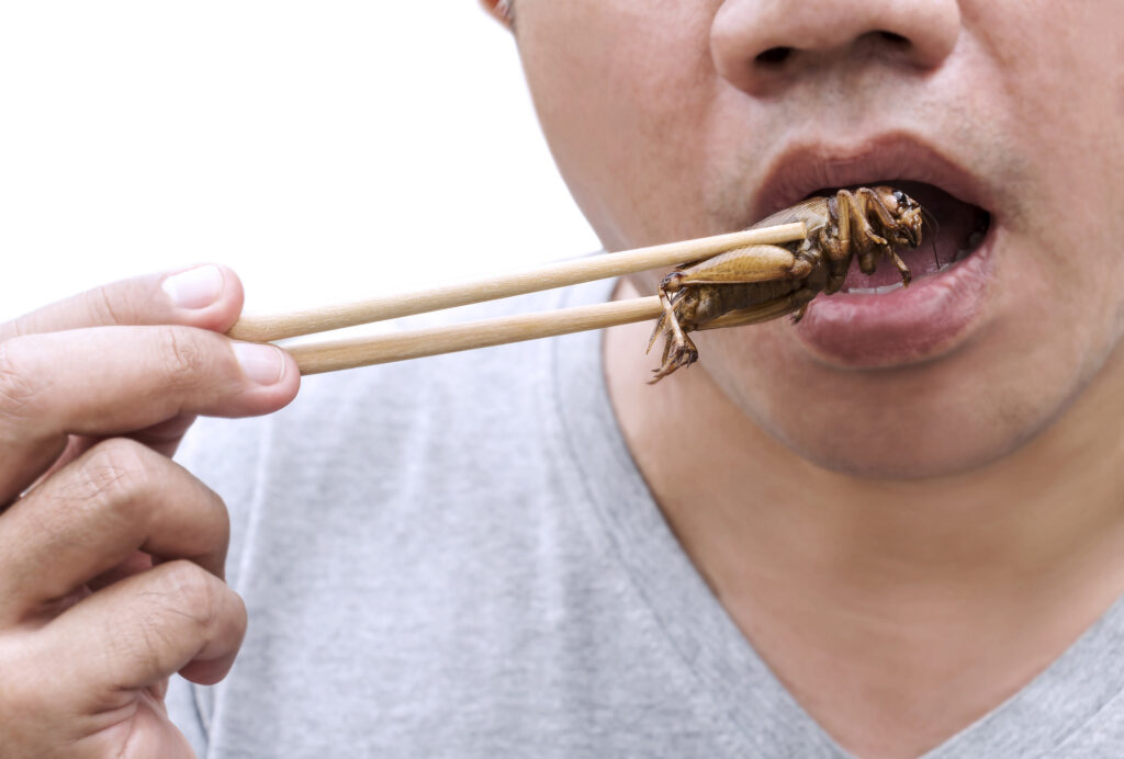 Federal Gov’t Will ‘Probably’ Force Americans To Eat Insects, Tucker Carlson Says