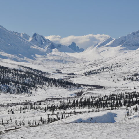 Report: downed unidentified object penetrated us airspace undetected - photo licensed by shore news network.