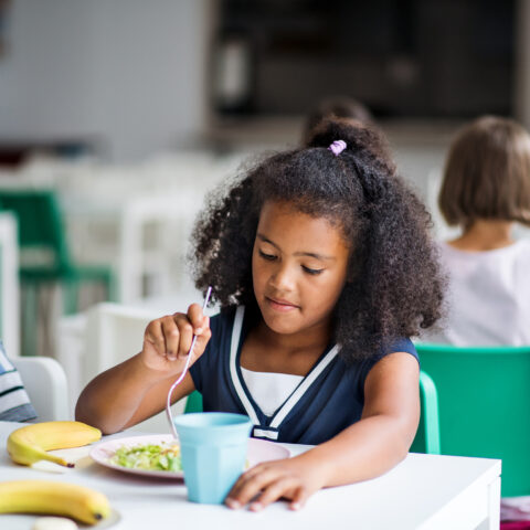 New jersey seeks to expand free school lunch program - photo licensed by shore news network.