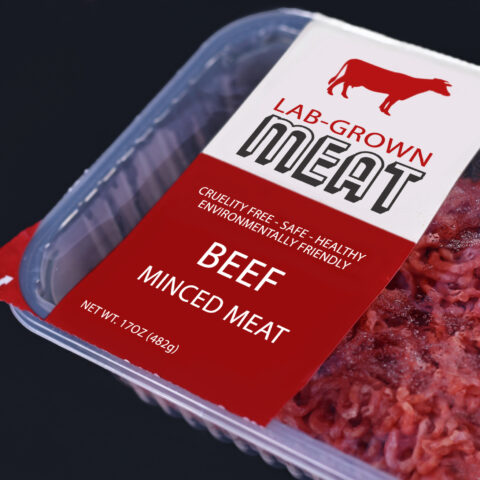 Fake meat industry implodes after years of hype - photo licensed by shore news network.