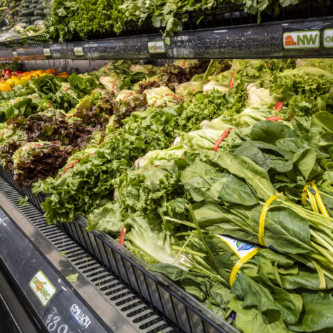 Christian high school apologizes for ‘racist’ black history month lunch of fried chicken and collard greens - photo licensed by shore news network.