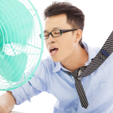 Green tech firms launch lobbying group to push for govt subsidies to suck co2 out of the air - photo licensed by shore news network.