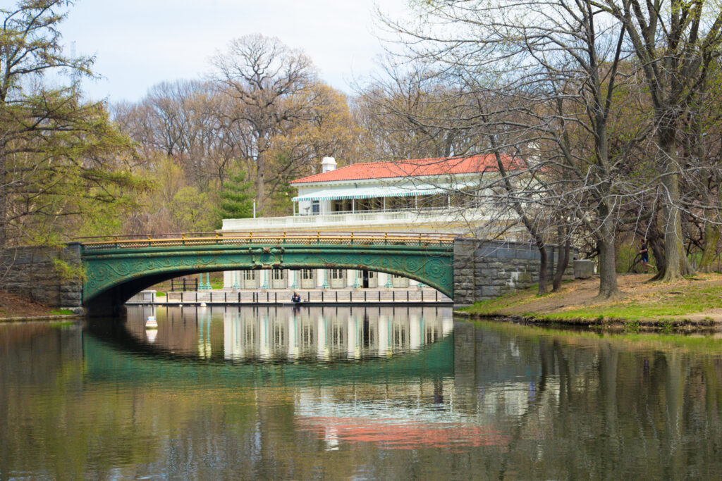 Alligator pulled found in Brooklyn's Prospect Park lake