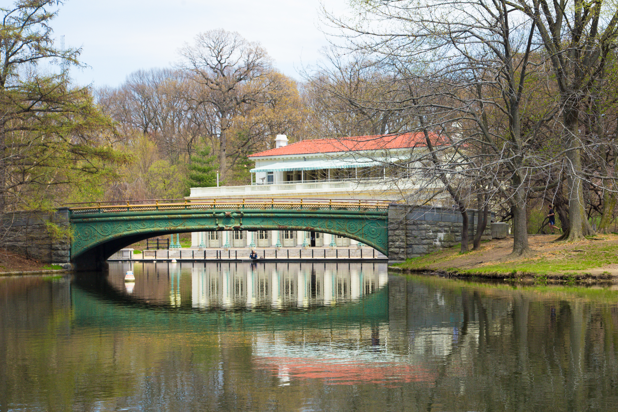 Alligator pulled found in Brooklyn's Prospect Park lake