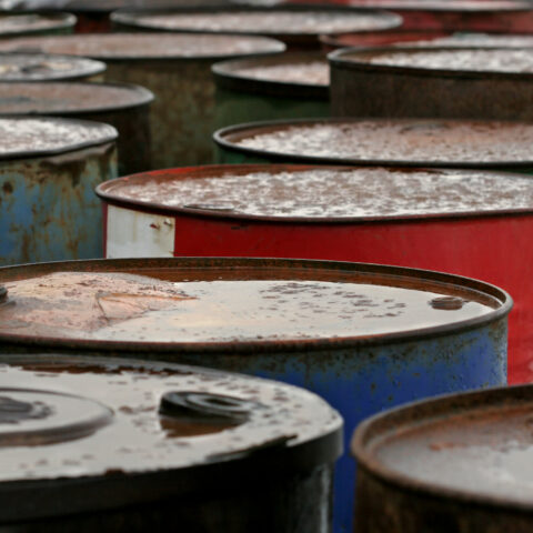 Murphy's response to whale deaths, toxic superfund site deal could hurt his presidential aspirations - photo licensed by shore news network.