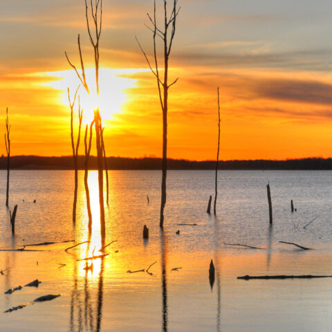 Brush fire at the manasquan reservoir - photo licensed by shore news network.