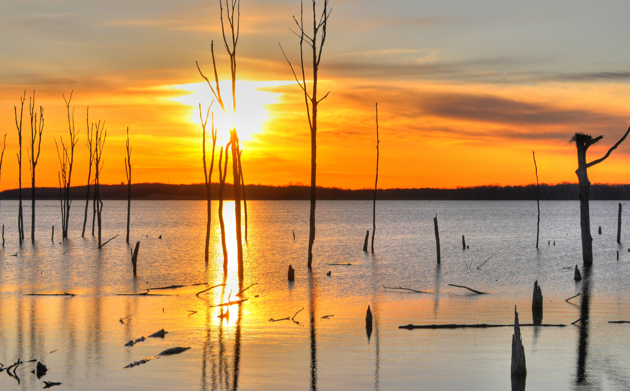 Brush fire at the Manasquan Reservoir