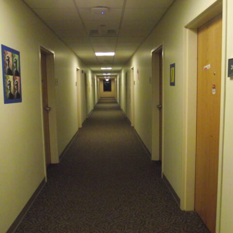 University launches investigation into pork put outside jewish student’s dorm - photo licensed by shore news network.