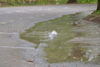 Alert issued after water main break in south river