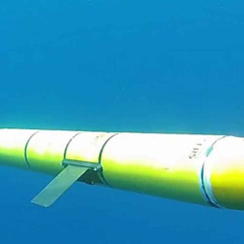 Lawmaker questions "underwater gliders" used for wind farm surveys as whales continue to wash up at the jersey shore - photo licensed by shore news network.