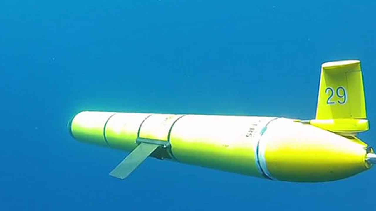 Lawmaker questions "underwater gliders" used for wind farm surveys as whales continue to wash up at the Jersey Shore