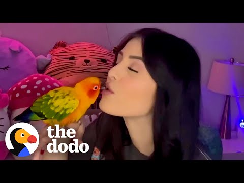 Parrot Loves To Shower With Mom | The Dodo