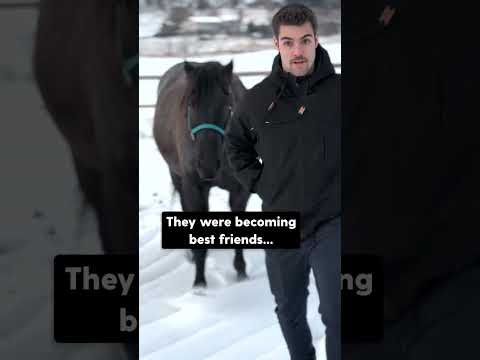 This Horse Fell In Love With Her Mom's Boyfriend | The Dodo