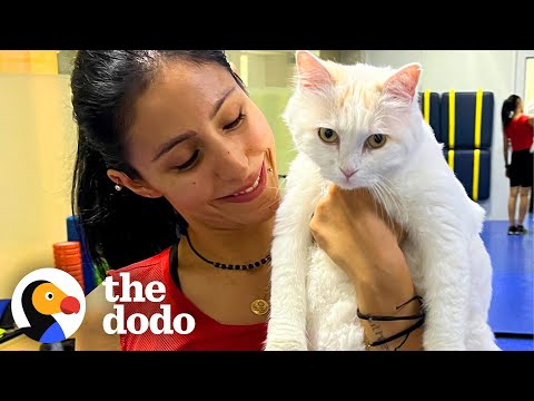 Rescue Cat Inspires A Whole New Gym Class! | The Dodo