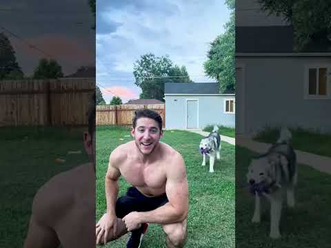 When Teaching Your Dog To Hug Goes Wrong | The Dodo
