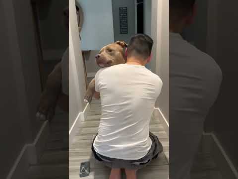 We Think He Likes Dad More... | The Dodo