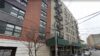 Arrest made after body found in bronx basement