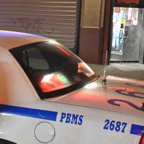 Intruders disrupted by resident during attempted burglary in new york city - photo licensed by shore news network.