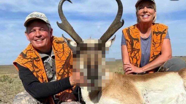Twitter suspends republican senator’s account over hunting photo - photo licensed by shore news network.