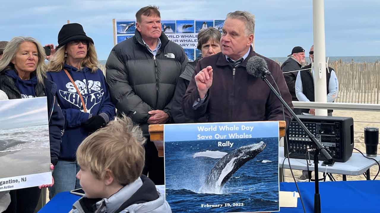 Hundreds show up for save the whales rally in Point Pleasant
