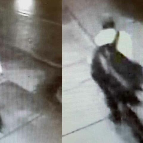 Police seeking second suspect in gouverneur shooting death - photo licensed by shore news network.