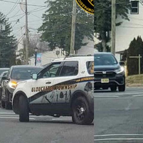 Turkey terrorizing south jersey town for weeks has finally been captured - photo licensed by shore news network.