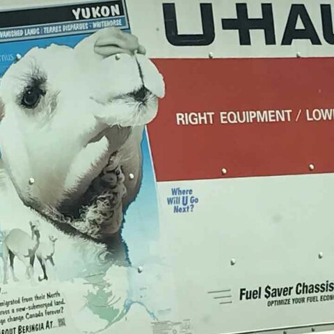 Multiple dogs found dead inside abandoned u-haul truck - photo licensed by shore news network.
