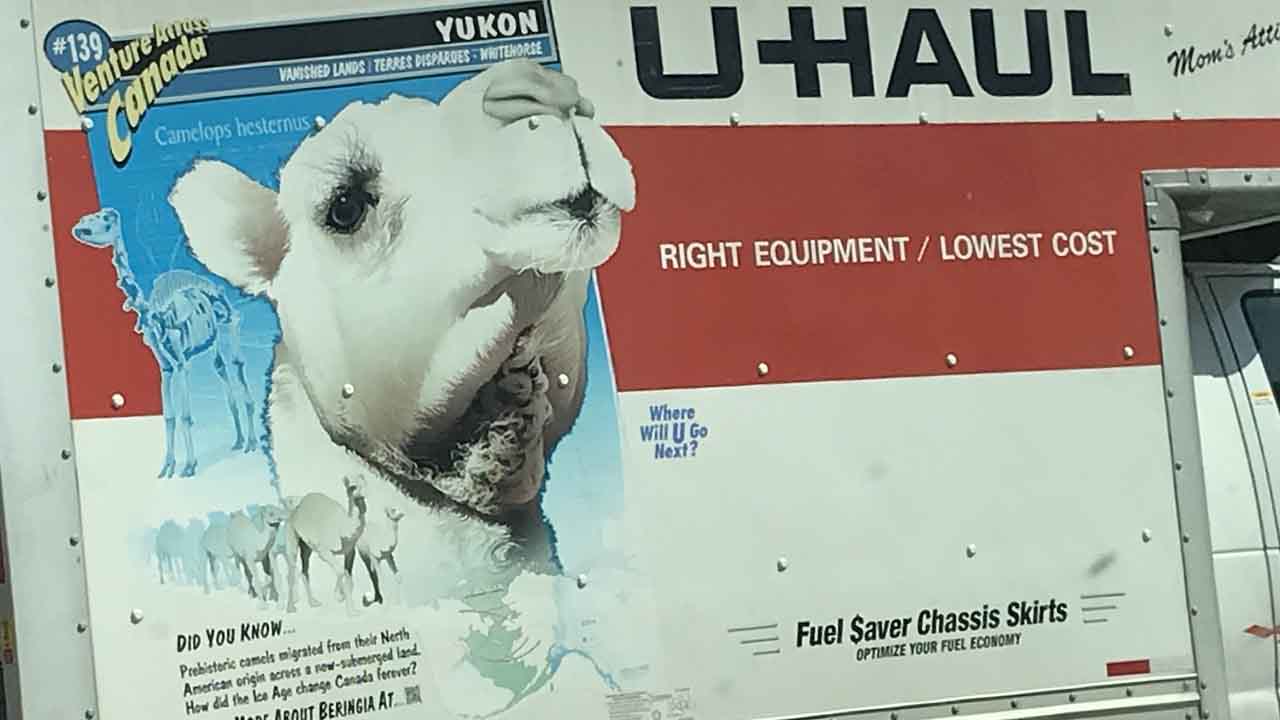 Multiple Dogs Found Dead Inside Abandoned U-Haul Truck