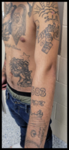 Rgv agents arrest five gang members; some identified within larger migrant groups
