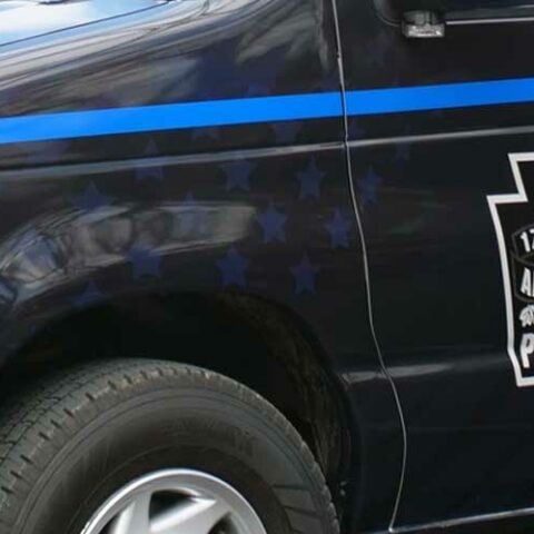 Juvenile suspects arrested after stealing vehicle, striking police cars, and trespassing - photo licensed by shore news network.