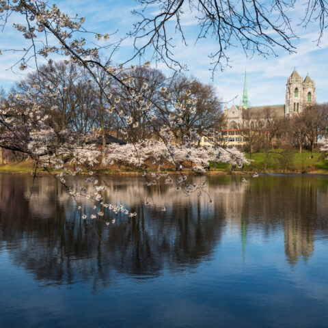 Study says newark is third worst place in america to have an outdoor wedding - photo licensed by shore news network.