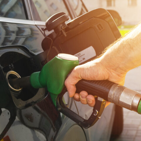 If gas-powered cars are your main issue, new jersey is not the state for you - photo licensed by shore news network.