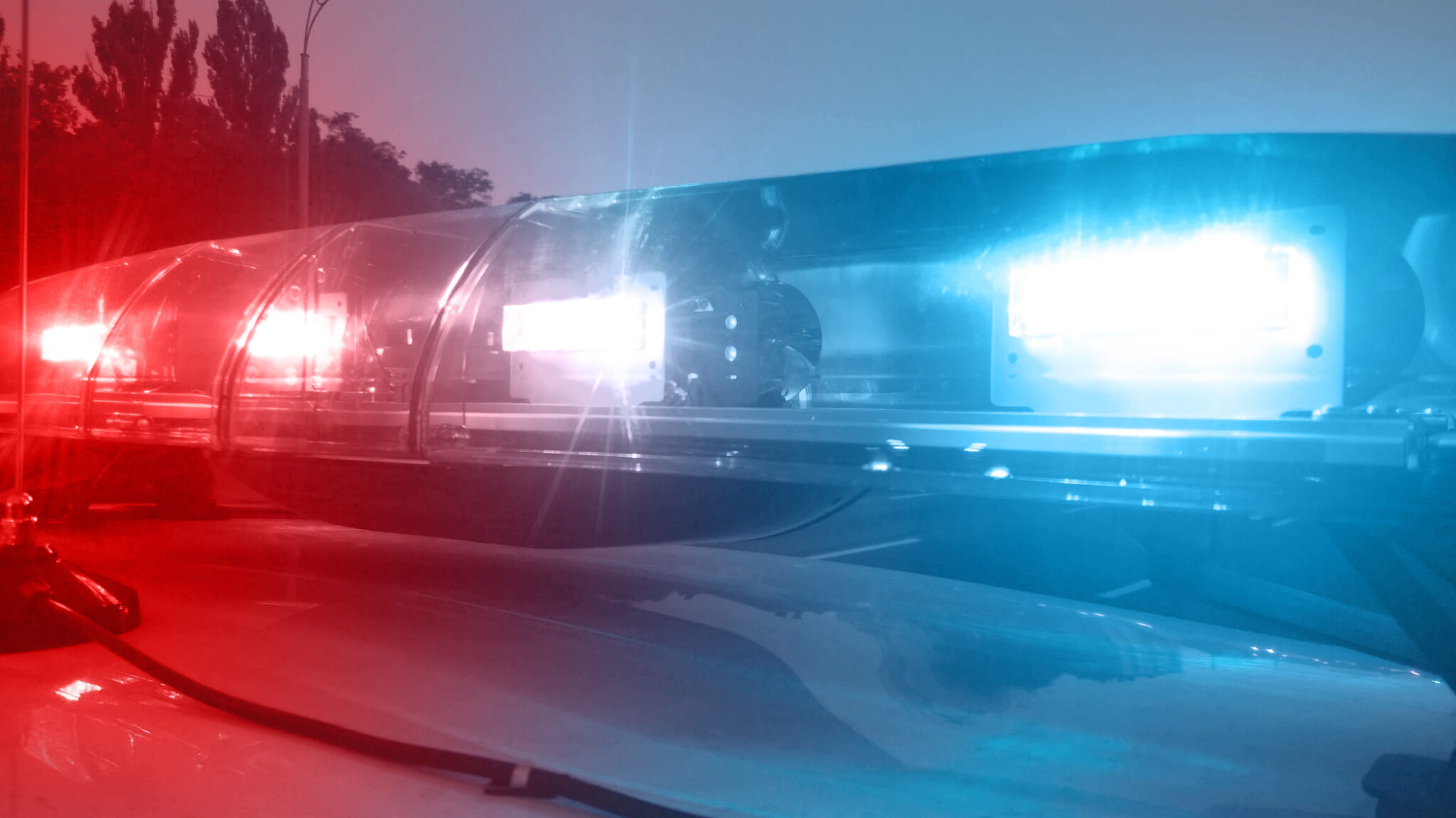Woman critically injured after being struck by vehicle on Wilkes-Barre ...