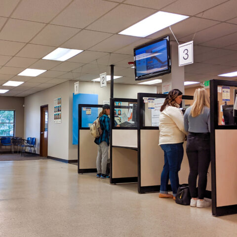 New jersey to require state agencies to provide documents in 16 different languages - photo licensed by shore news network.