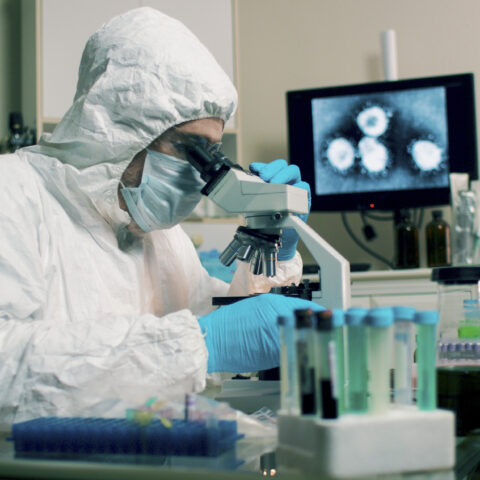 Senate unanimously votes to declassify intel on covid-19 origins - photo licensed by shore news network.