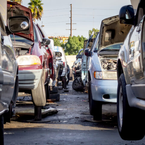 New jersey gas car ban signed by governor phil murphy - photo licensed by shore news network.