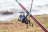 Ohio fishermen plead guilty to cheating and unlawful ownership of wild animals
