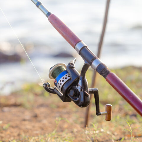 Ohio fishermen plead guilty to cheating and unlawful ownership of wild animals - photo licensed by shore news network.