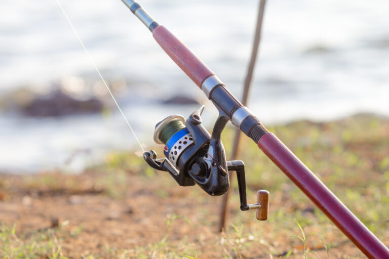 Ohio fishermen plead guilty to cheating and unlawful ownership of wild animals - photo licensed by shore news network.