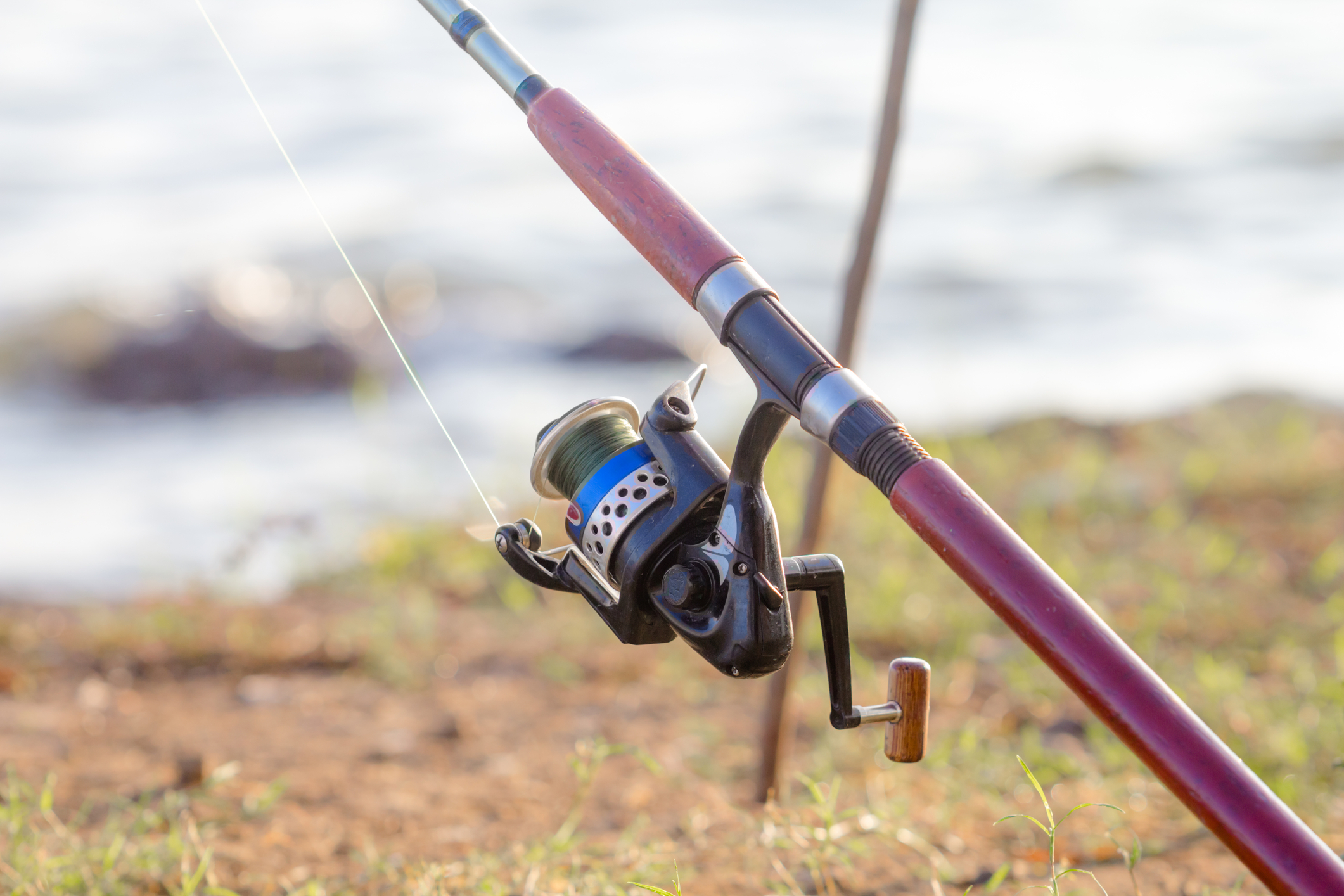 Ohio Fishermen Plead Guilty to Cheating and Unlawful Ownership of Wild Animals